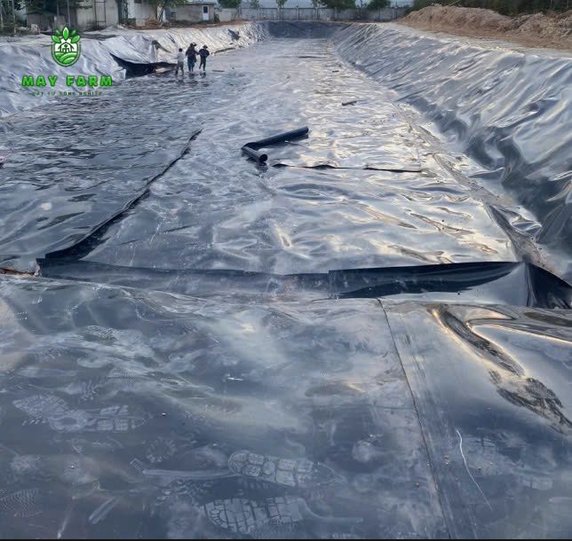 Dự án Tấm bạt HDPE 0,5mm 26.000 m2