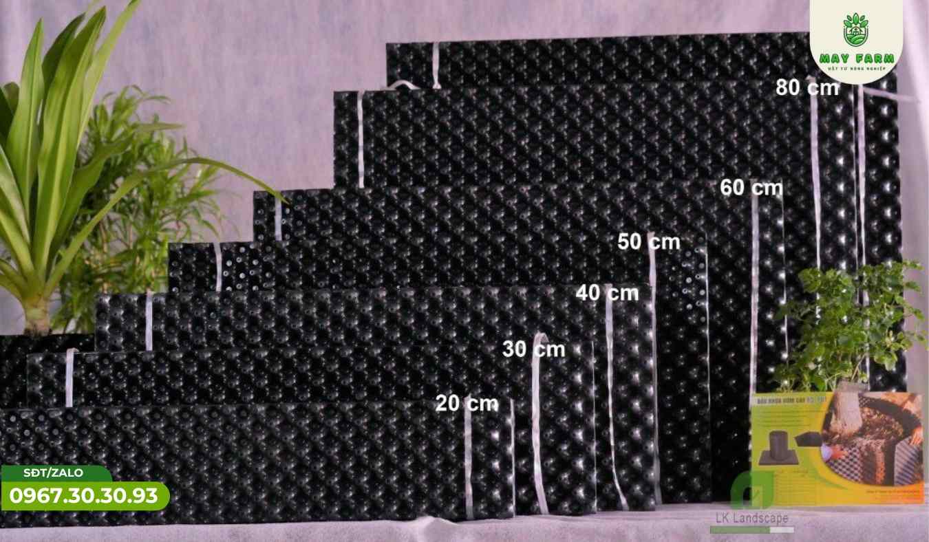 Bầu ươm V7 là gì