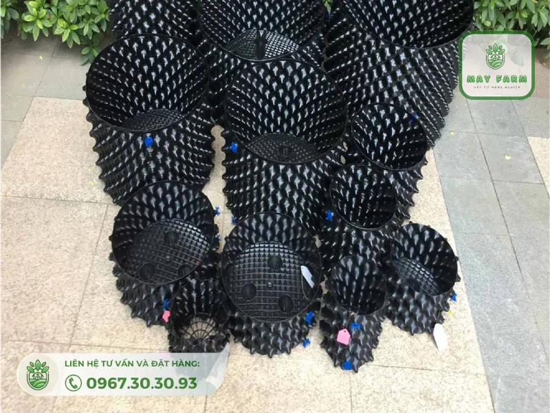 giá bầu ươm v6 40cm được May Farm niêm yết rõ ràng và minh bạch