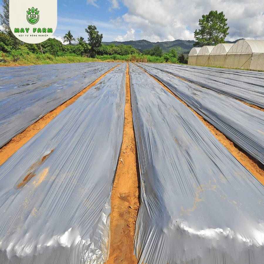 Dự Án Phủ 35 Ha