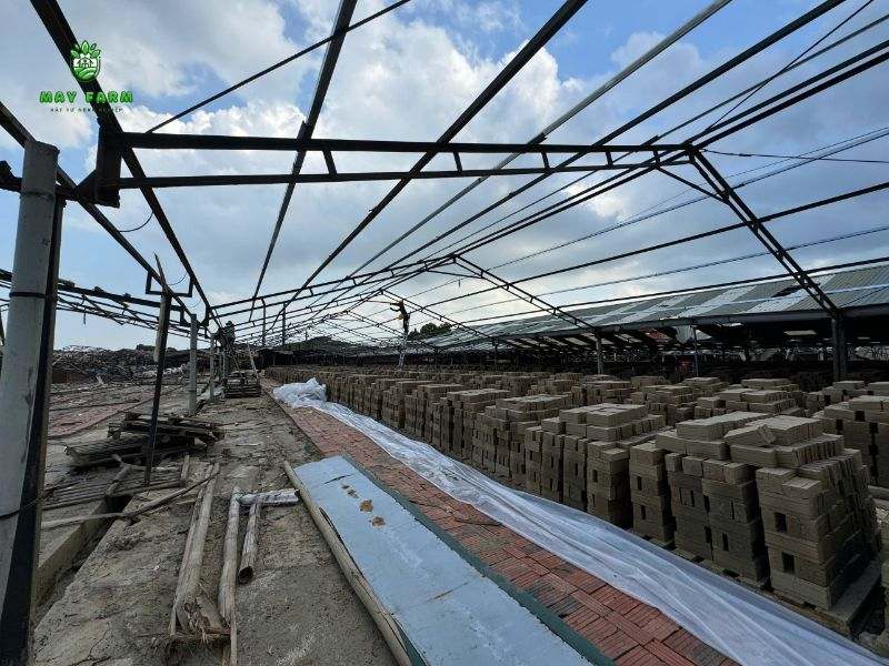 Dự án nhà kính 12.000 m2