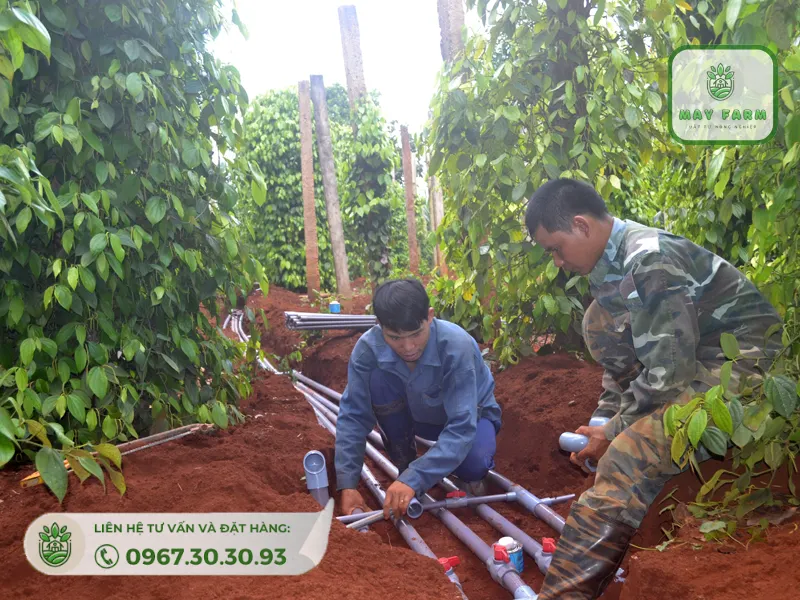 hãy lắp đặt đúng kỹ thuật để đem lại hiệu quả tưới cho vườn cà phê