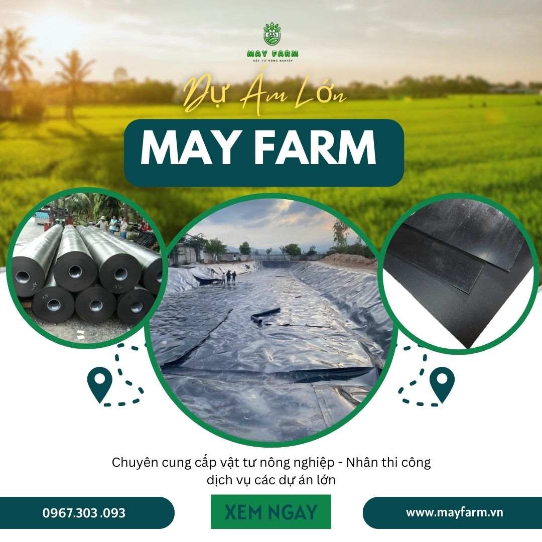 Dự án Tấm bạt HDPE 0,5mm 26.000 m2
