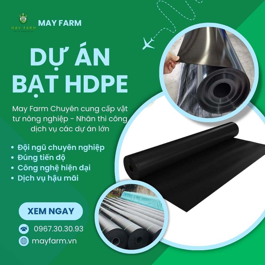 Dự án bạt HDPE 16600 m2