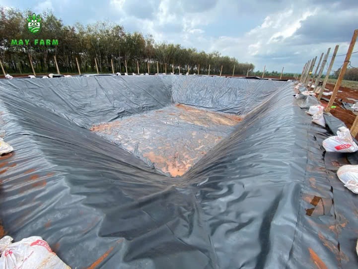 Dự án bạt HDPE 16600 m2