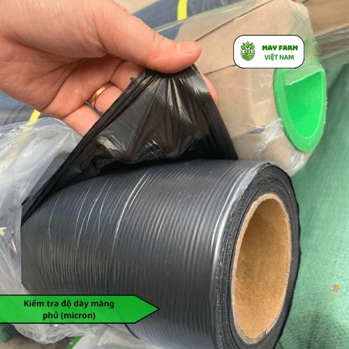 Các tiêu chí quan trọng khi chọn mua màng phủ trồng rau bền và chống nắng tốt