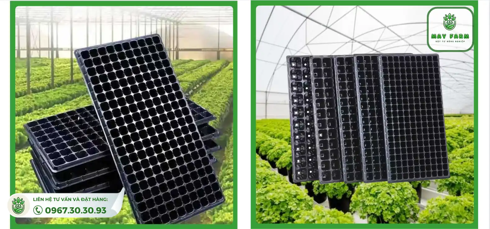 khay ươm hạt 128 lỗ có giá rất phải chăng, chỉ với 8.000 đồng