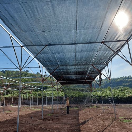 Lưới che nắng 50% ứng dụng hữu ích cho nông nghiệp