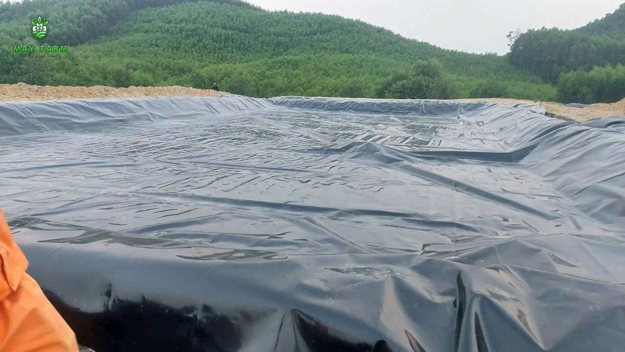 Dự án bạt HDPE 16600 m2