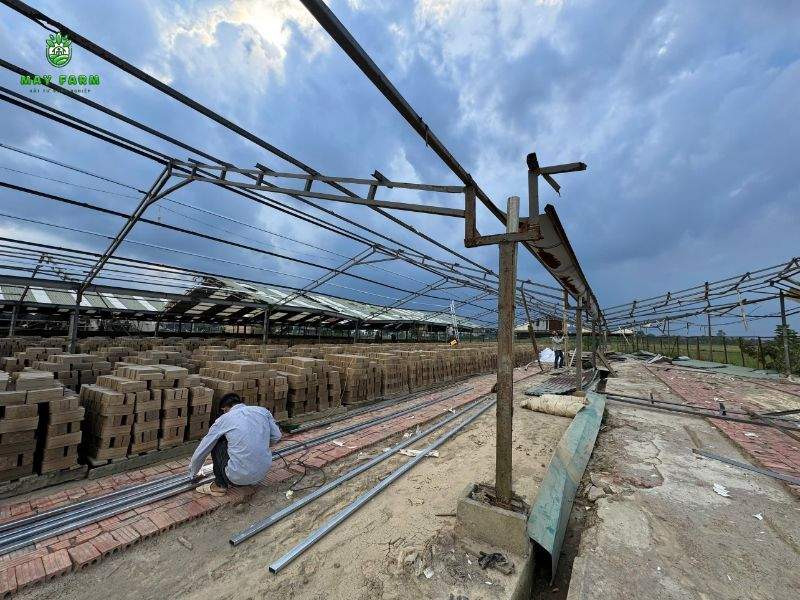 Dự án nhà kính 12.000 m2