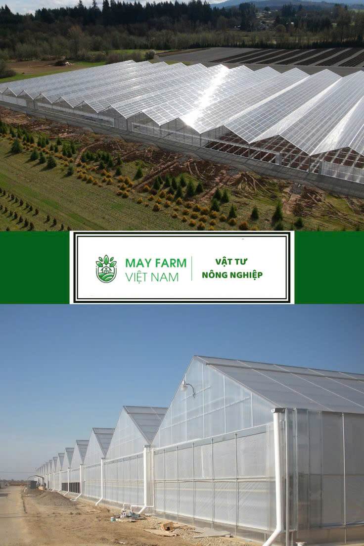 Vai trò của May Farm và Đại thành trong dự án