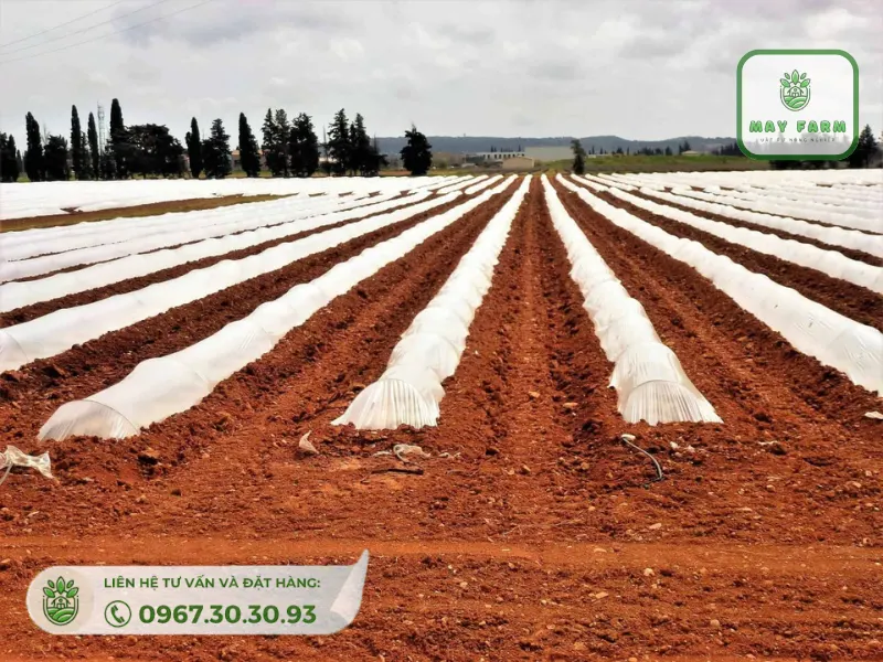 Dự Án Phủ 35 Ha