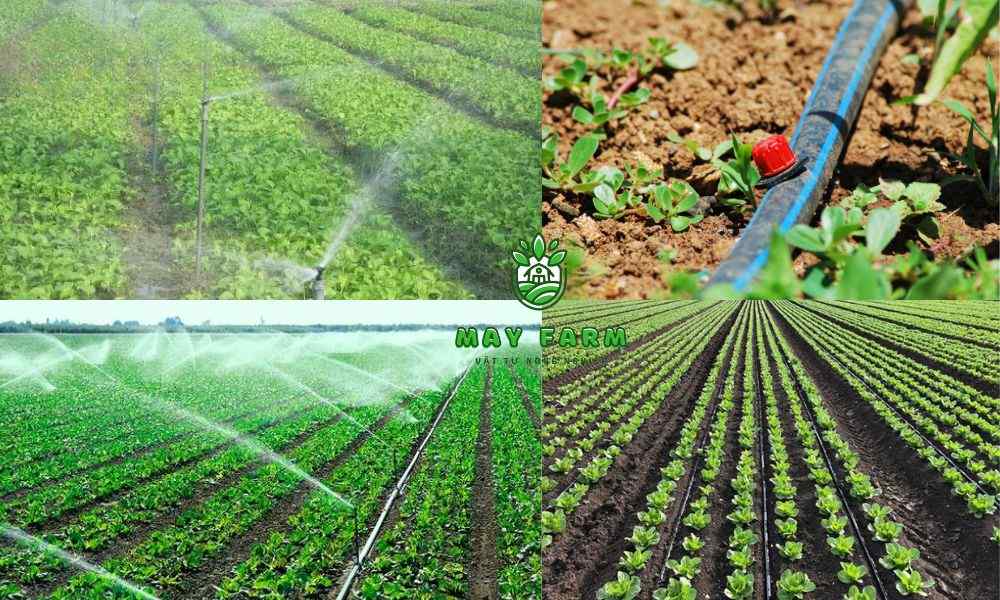 Thi công hệ thống tưới cho cây trồng - Tăng năng suất cây trồng