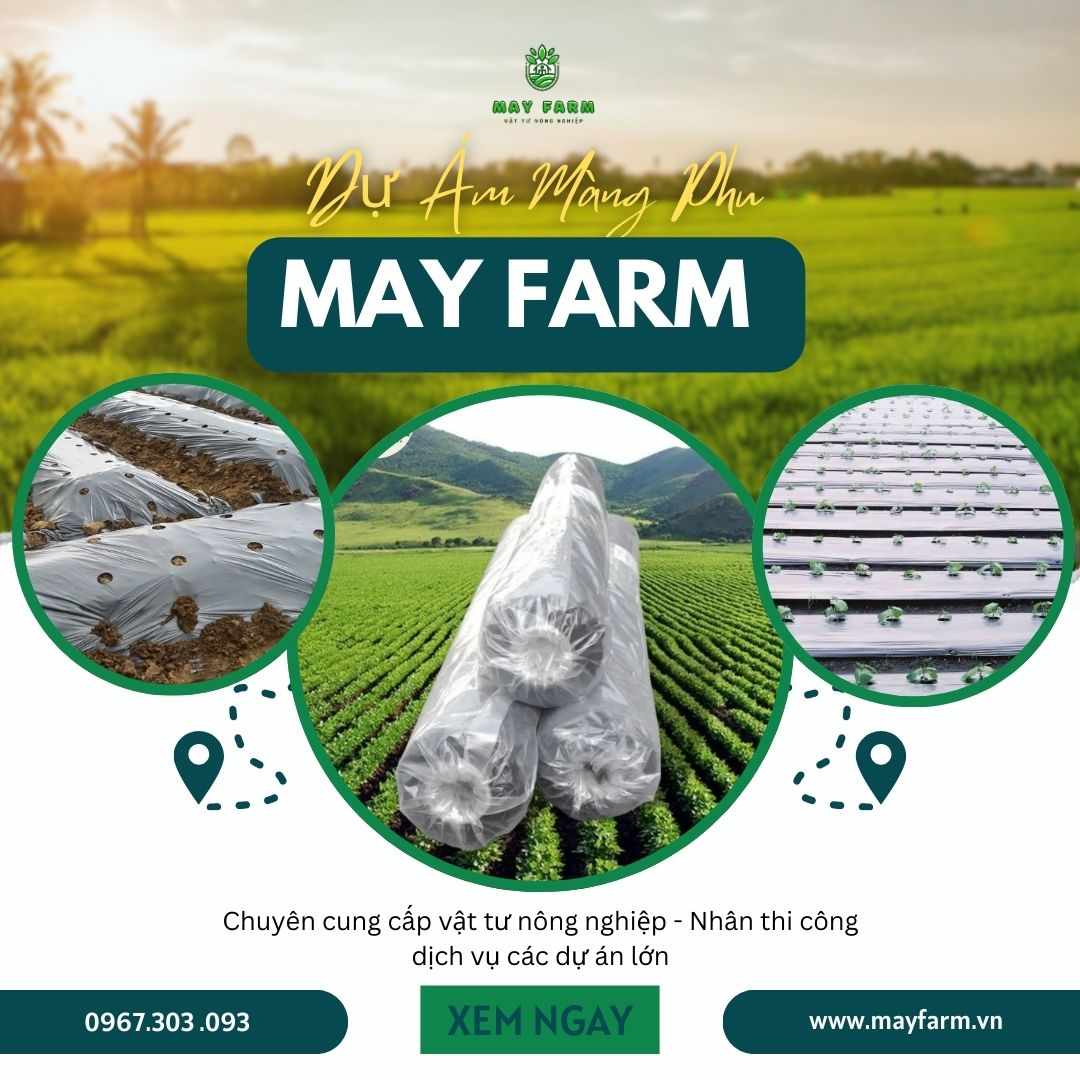 Dự Án Phủ 35 Ha