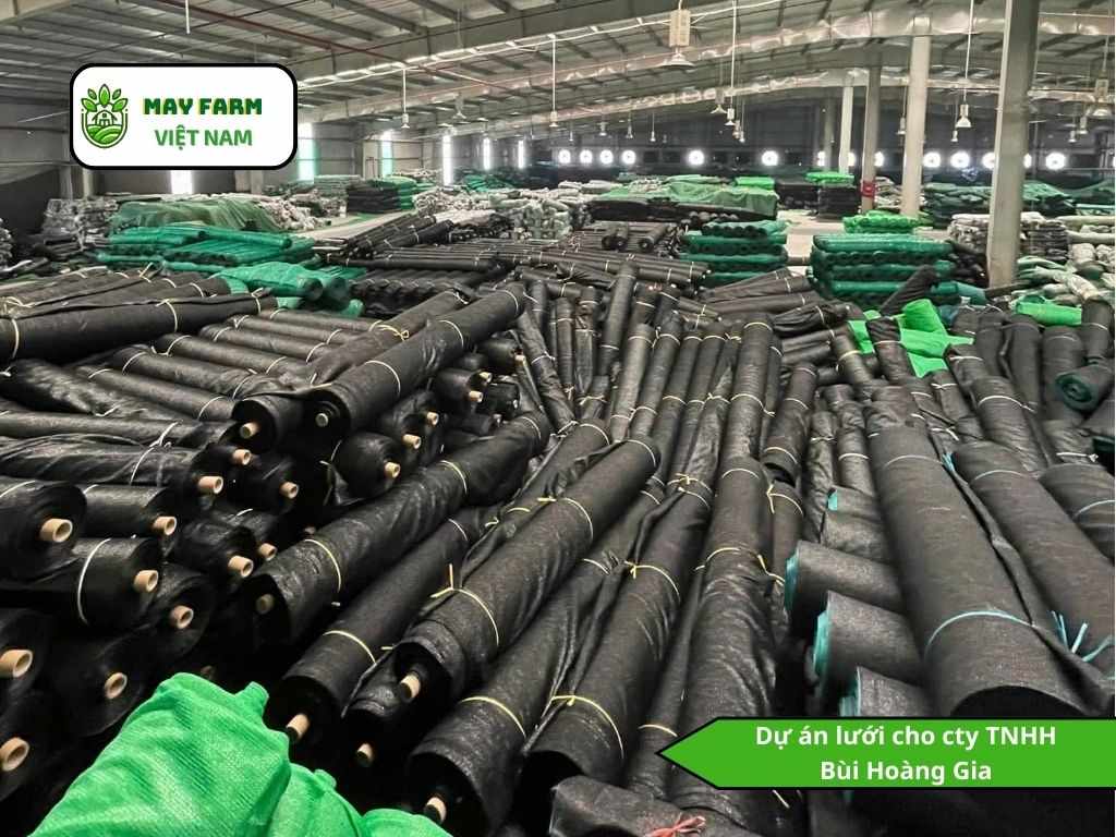 Dự án lưới cho cty TNHH Bùi Hoàng Gia