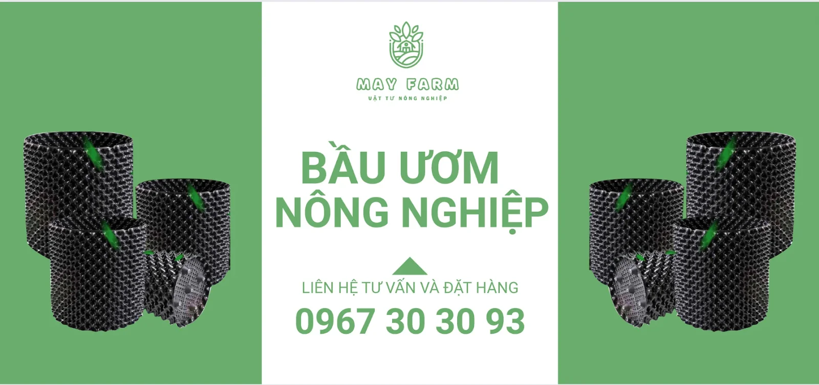 chọn loại bầu ươm phù hợp với nhu cầu sử dụng