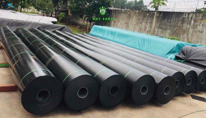 Bạt HDPE 0.75 - Bạt chống thấm HDPE 0.75mm