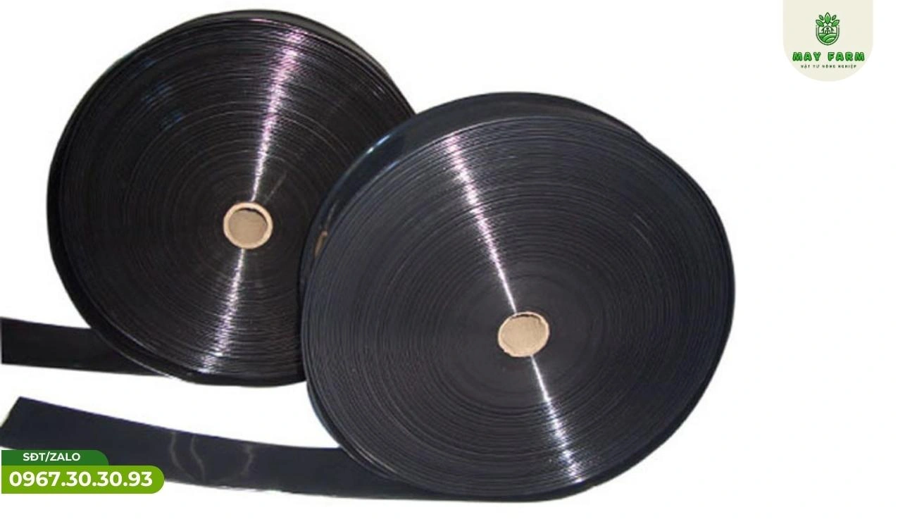 hệ thống tưới phun mưa cho cây trồng cần được lắp đặt đúng kỹ thuật