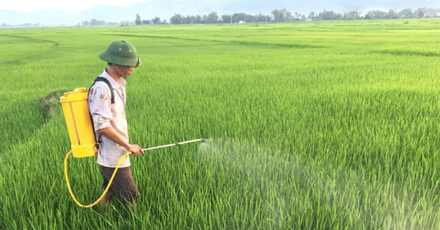 Bình xịt thuốc diệt  côn trùng Oshima OS20 phun thuốc trừ sâu, bảo vệ cây trồng