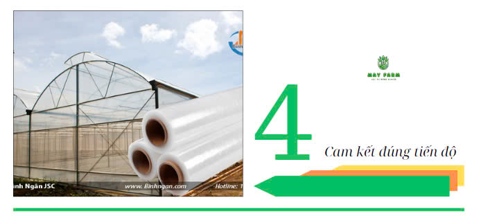 thi công màng nhà kính - Cam kết đúng tiến độ 