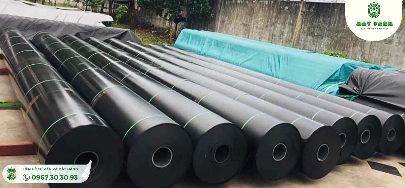Nên liên hệ May Farm để cập nhật giá bạt chi tiết