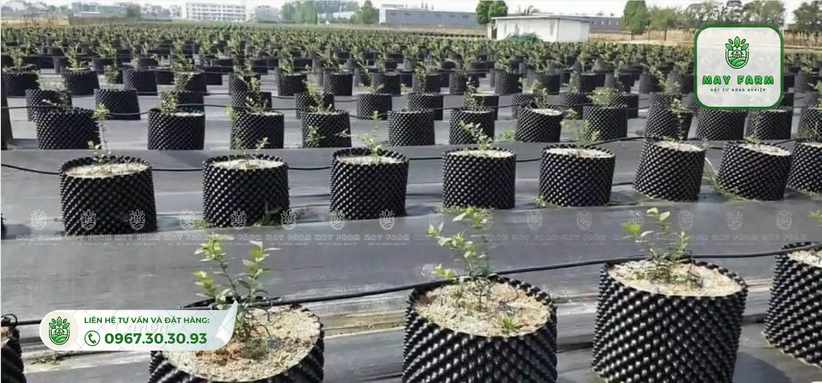 bầu ươm thông minh được ứng dụng rộng rãi và phổ biến