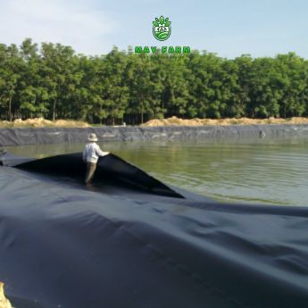 media_image5