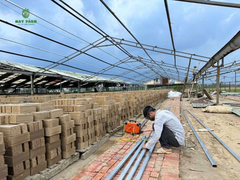Dự án nhà kính 12.000 m2