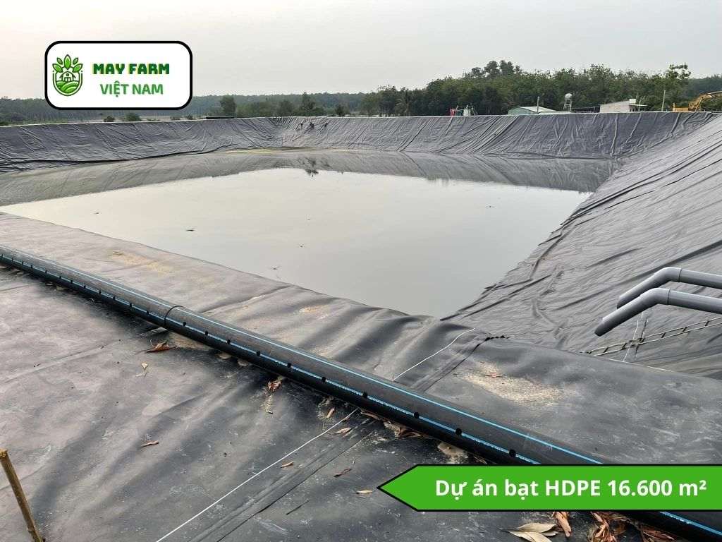  Dự án bạt HDPE 16.600 m² 