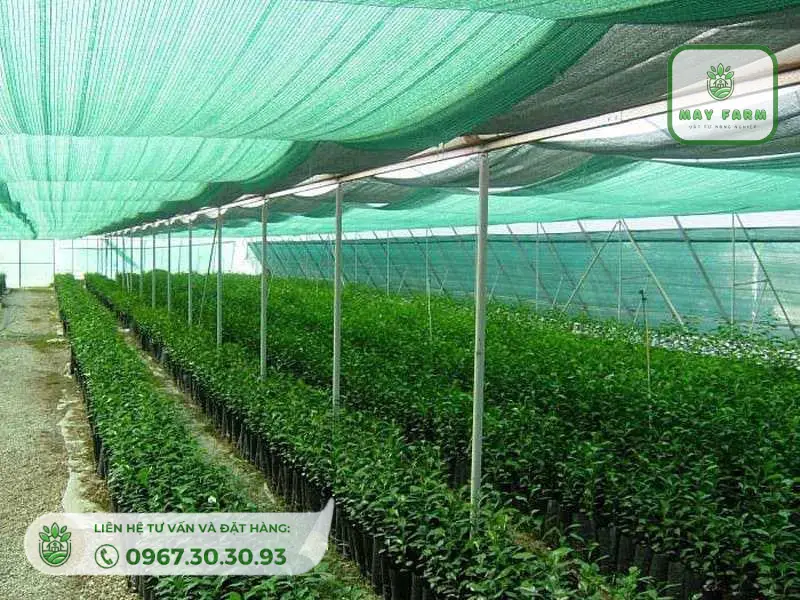 đặc điểm lưới che nắng thái lan sẽ khác biệt với các loại lưới thường